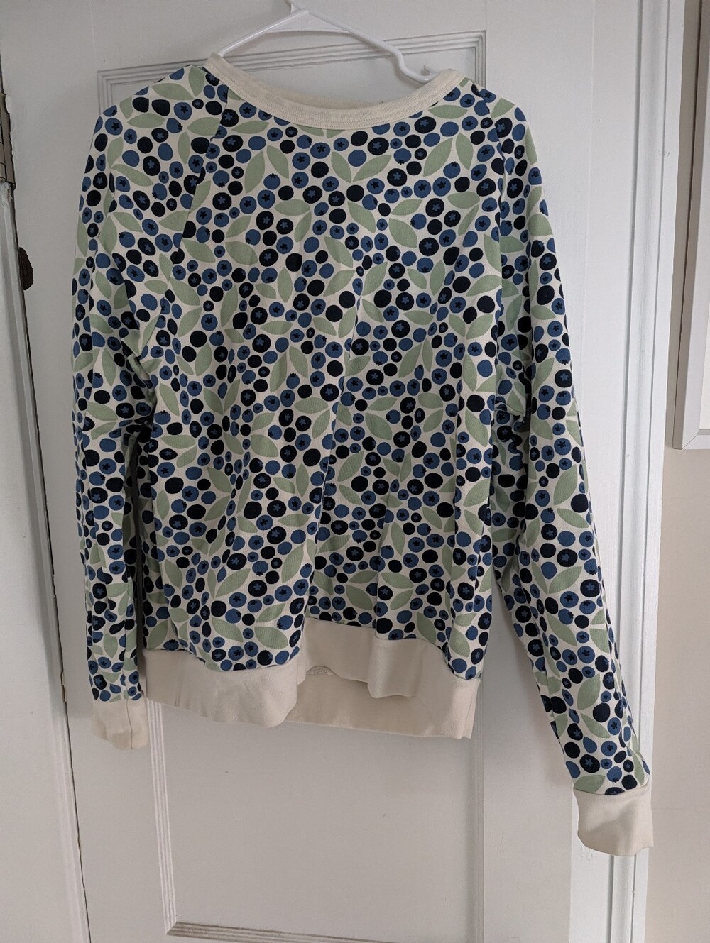 Like new Winter Water factory Blueberry Sweatshirt